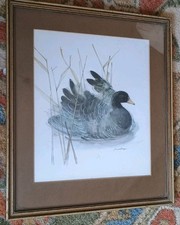  Danish Artist Mads Stage  Bean Goose Print ,  Framed , 36.5 cm x 31.5 cm