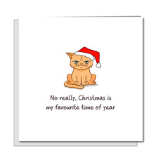 Funny Grumpy Cat Christmas