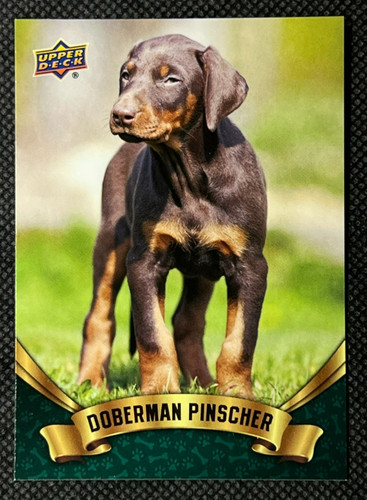 2018 upper deck canine - 2018,