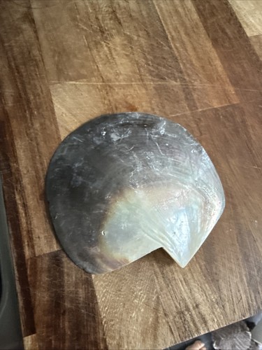 Polished mother pearl - of,