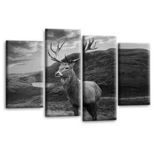 Scottish Highland Stag Wall
