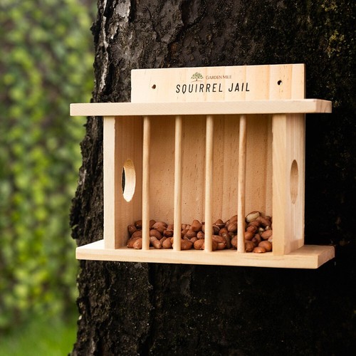 Hanging bird squirrel - bird,