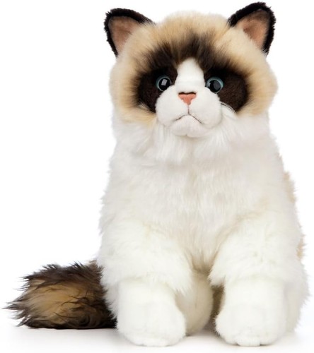 Ragdoll cat realistic soft - realistic,