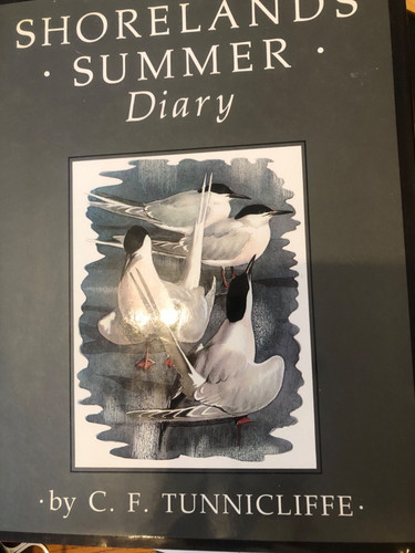 Shorelands summer diary - diary., c.