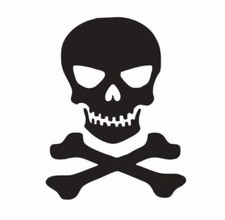 F95 S-Huge Skull Crossbones