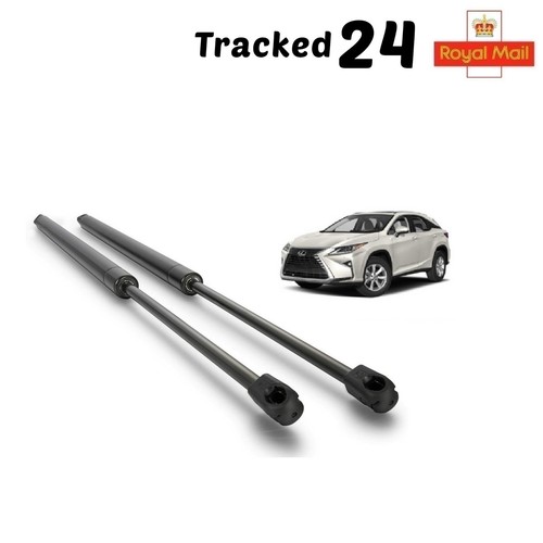 Rear tailgate boot gas support - tailgate,