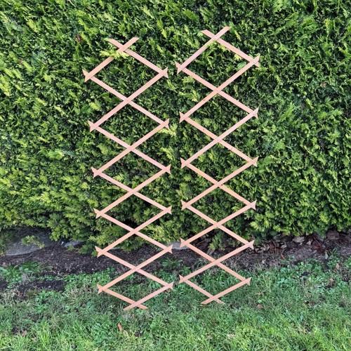 Set expanding wooden - expanding,