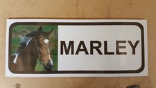 Quality Personalised Horse