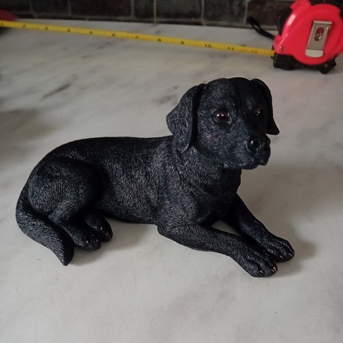 Black labrador retriever dog - labrador,