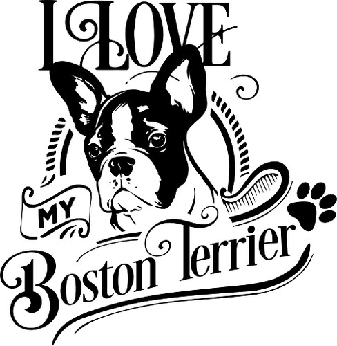 Decals beagle boston - /,