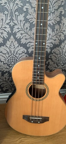 Ashbury electric acoustic - electric,
