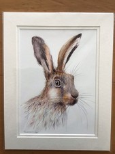 Hare rabbit print signed - rabbit, a4