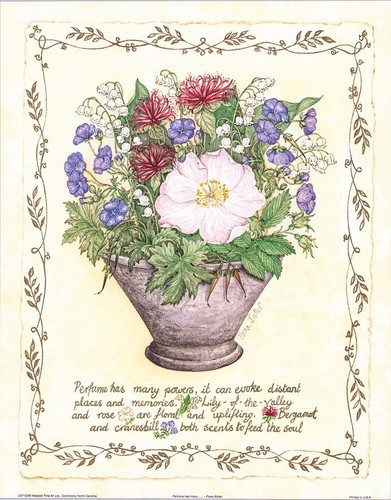 Fiona butler botanical - butler, plants