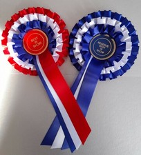 X2 3 Tier Rosettes Best In