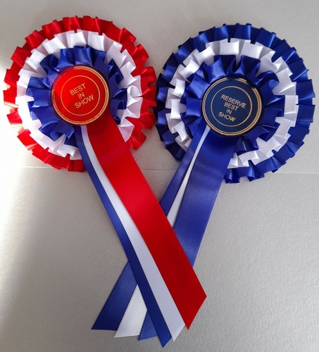 Tier rosettes best - tier,