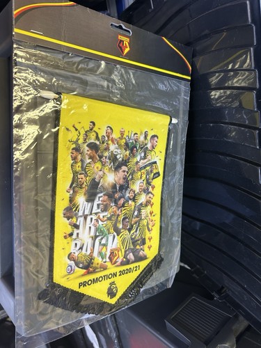 Watford football club brand - club,