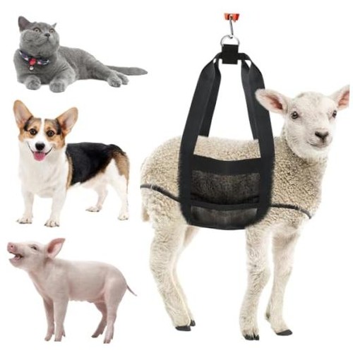 Livestock sling for goat - sling,