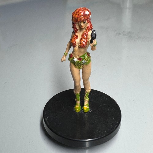 Pathfinder miniatures - d&d,