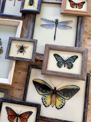 Insect reverse glass - glass, paintings