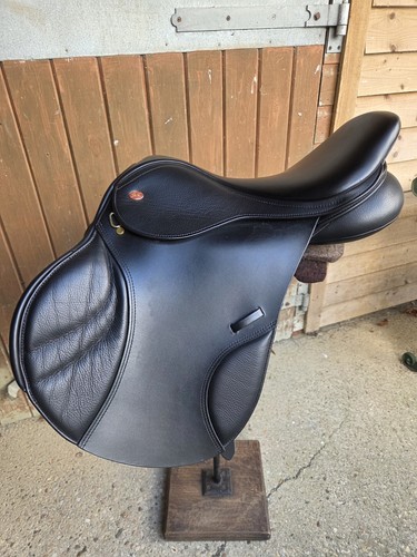 Kent and masters - 17.5", jump