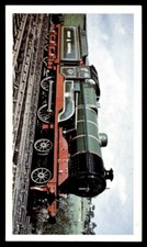 1976 Doncella Golden Age of