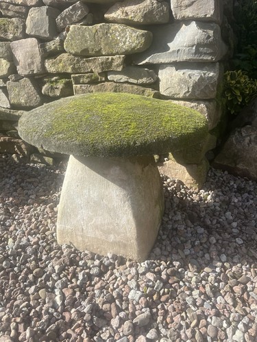 Large antique staddle stone - antique,