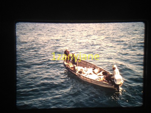 3t10 vintage photo 35mm slide - photo,