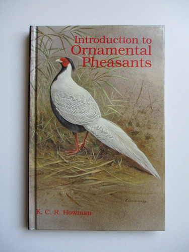 1996 1st introduction - 1996, to