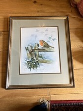 Original Watercolour Painting Of Robin In Winter Signed E Rose 50x43cm Inc Frame