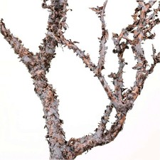 Rustic Wildwood Artificial