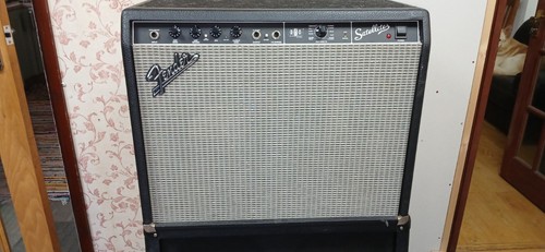 Fender sattelite amp - sattelite, in