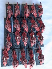 20x Warhammer Dire Wolves