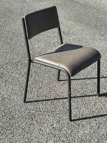Shepherd 1969 grey - shepherd,