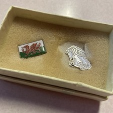 Welsh flag and white mini pin