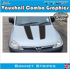 Vauxhall Combo Micro Camper