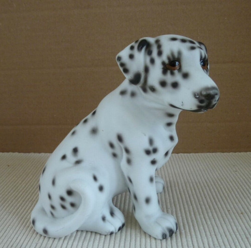 Harvey knox dalmation puppy - harvey,