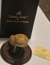 Country Artist Tawny Owl Hand