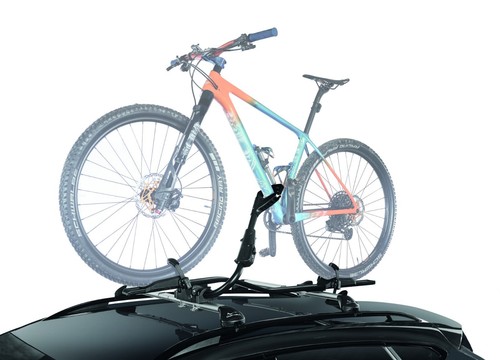 Green valley fast bike - valley, cycle