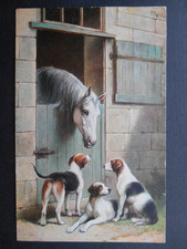 C REICHERT Beautiful Horse &