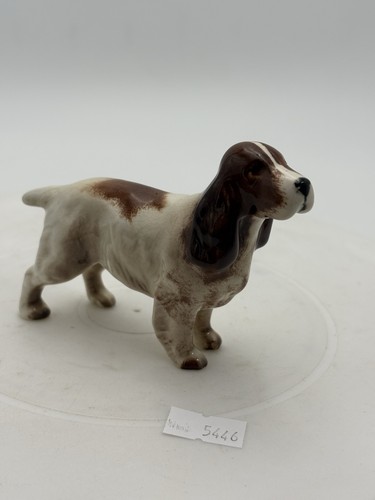 Small brown beswick - beswick, spaniel