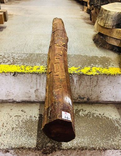 Snakewood aaa grade log - log, /