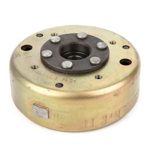 Poles magneto flywheel - poles,