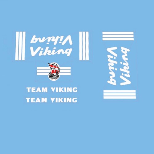 Viking team bicycle - team, frame