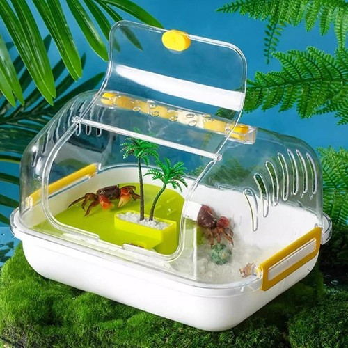 Turtle tank aquarium - turtle,