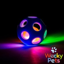 FLASHING BALL DOG TOY Ancol