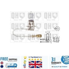Spotlight Bulb For Yamaha TDM