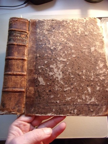 Plinius naturgeschichte - plinius,