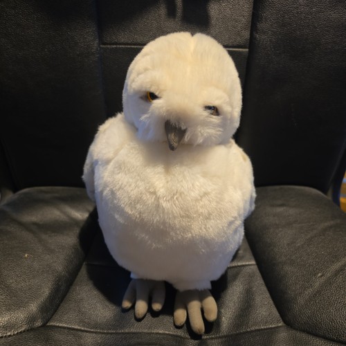 Talking harry potter - potter, hedwig