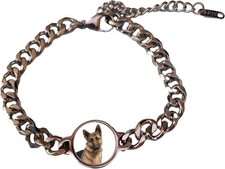 German Shepherd Dog Pet Family