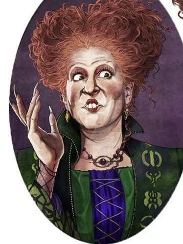 Winifred sanderson costume - winifred,